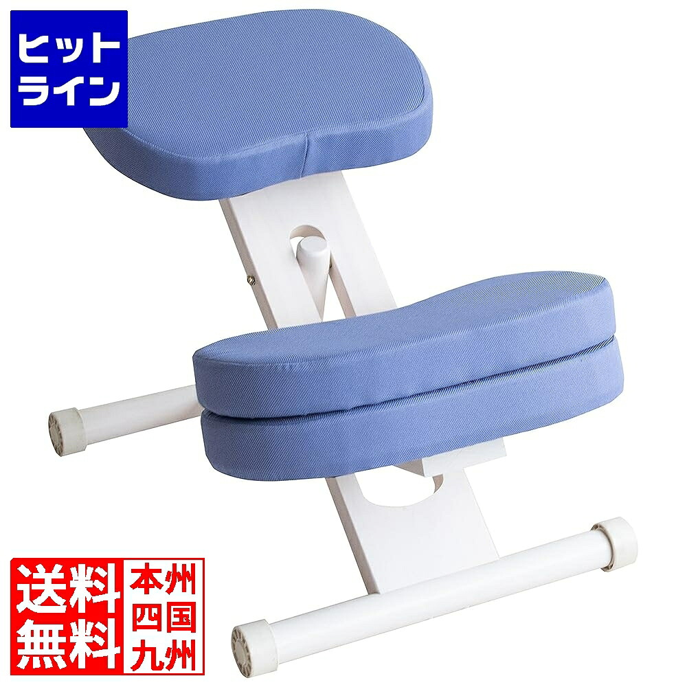 【お買い物マラソン】4/10 AM1:59まで 宮武製作所 ミヤタケ プロポーションチェアキッズ CH-N889CK ホワイトヴァイオレット CH-N889CK