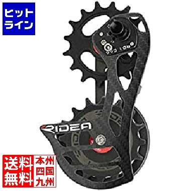 流行 RD1-C66FC-C Rear Derailleur Cage カーボン ロゴ kead.al