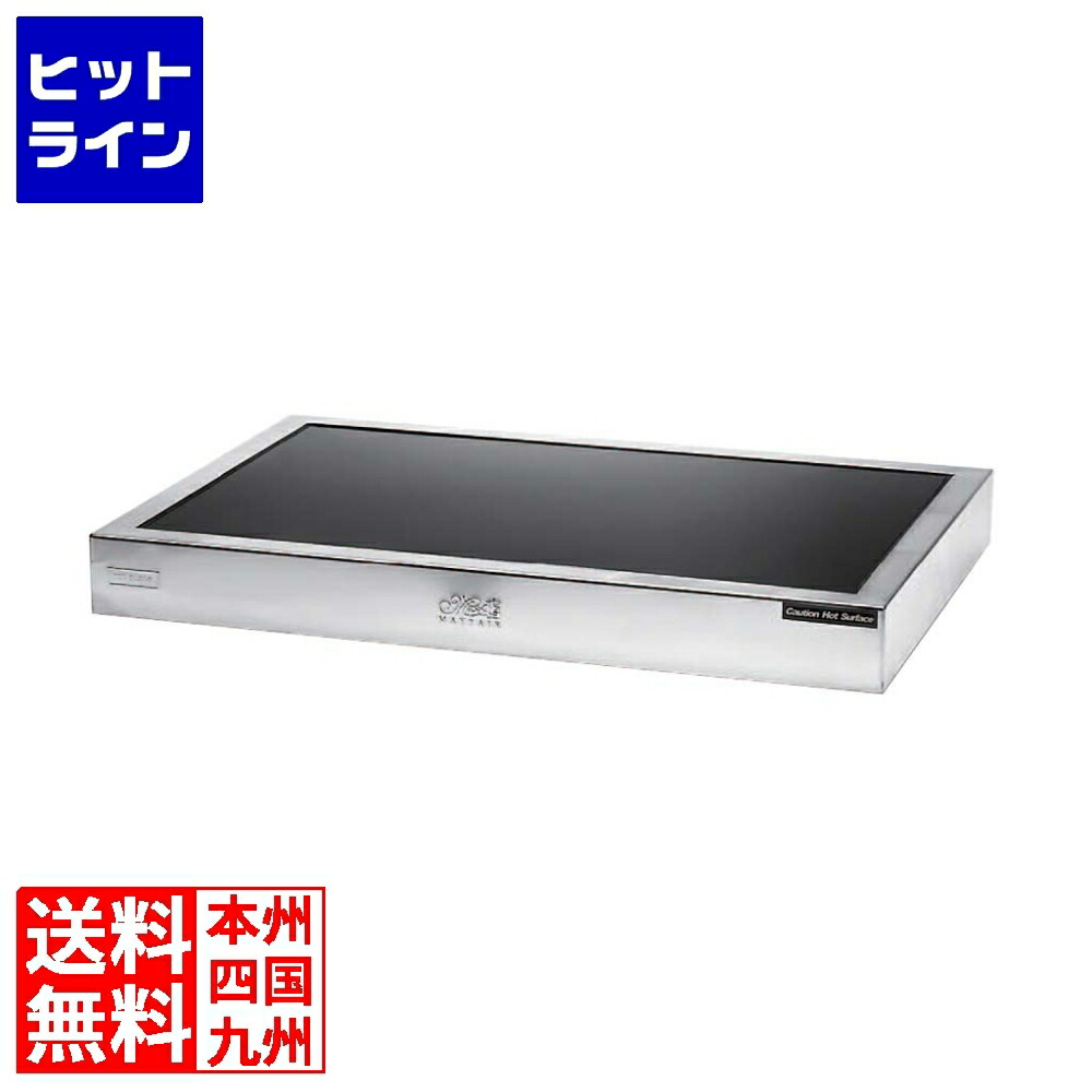 江部松 ブッフェウォーマー 1/1 PA10751PRO
