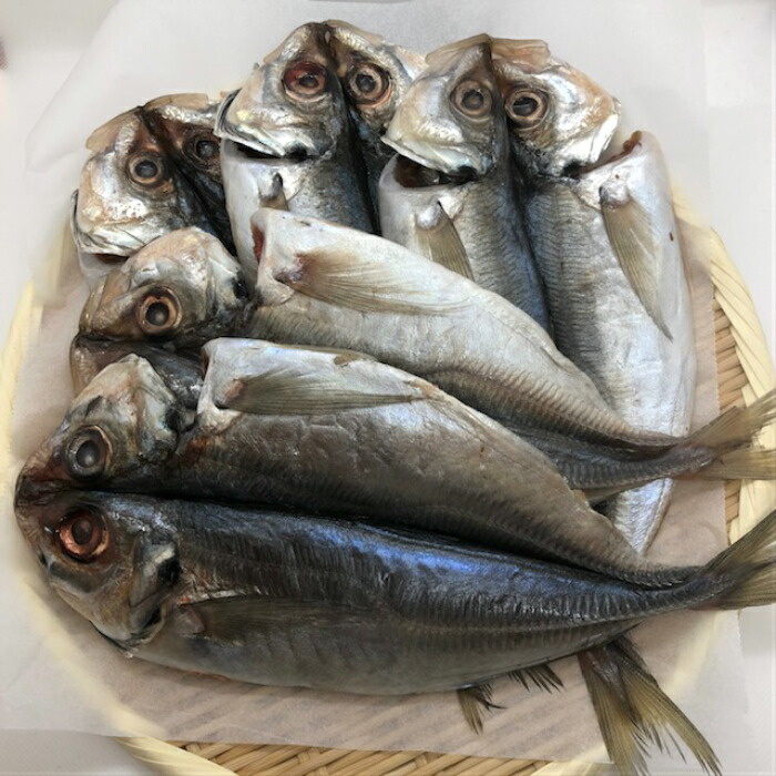 あじ 鯵 アジ オランダ産アジ 干物 大きいサイズ 脂乗り抜群 ご自宅用 朝の定番 酒のアテ おかずにピッタリ ふっくら ジューシー 5枚 女将の福箱 Mgpadel Com