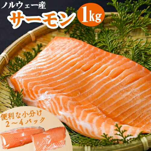 サーモン 楽天市場】ひとま ノルウェーサーモン たっぷり 500g 生食可 皮つき