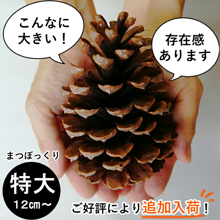 まつこ様専用 No3 7本6300円 クーポン配布中 交換無料 Rayhigdon Com