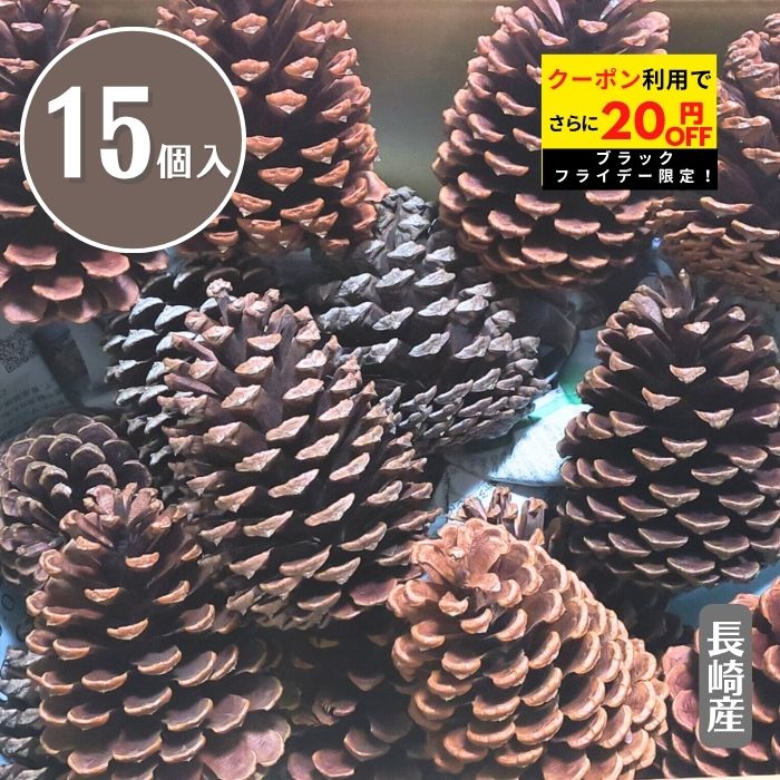 楽天市場】12cm〜15cm程度□超巨大 国産 松ぼっくり/まつぼっくり1個