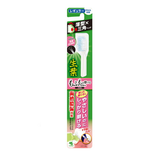小林製薬　生葉　もふもふ磨けるブラシ　レギュラー【ハミガキ 虫歯予防 口臭予防 健康 オーラル 衛生】｜日用品専門店のヒトマロ商店