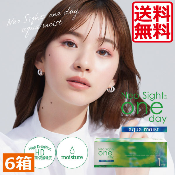 貨物輸送無料 尖んがり20倍 ネオサイトワンデーアクアモイスト(30枚)×6箱   1day アイレ 一デー 読みやすい水晶体