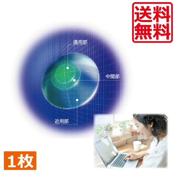 HOYA マルチビューEXともし火 （L） ×1枚 国内定まり品 捉え所の無い O 遠近両用 マイコン マイコン ホヤ