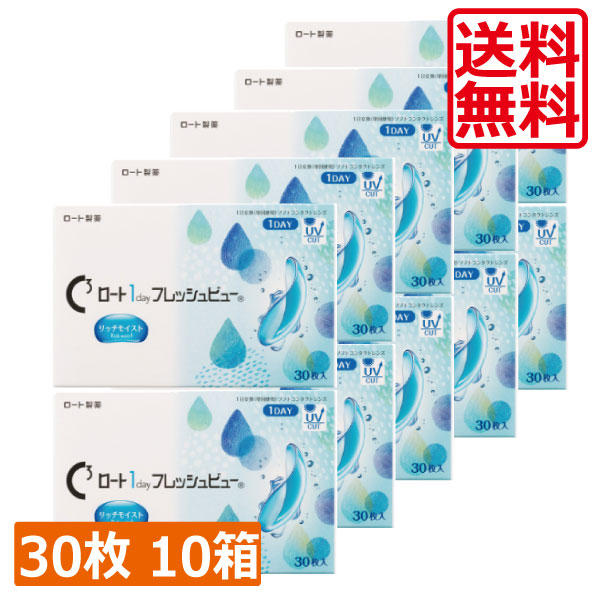 ロート ワンデーフレッシュビューリッチモイスト(30枚) ×10箱 送料無料 1day ROHTO　フレッシュビュー 11,696円