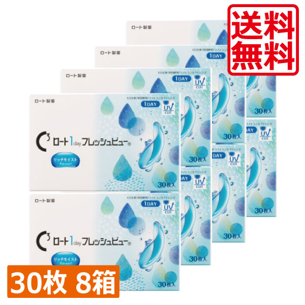 【本日限定ポイントアップ中】ロート ワンデーフレッシュビューリッチモイスト(30枚) ×8箱 送料無料 1day ROHTO　フレッシュビュー