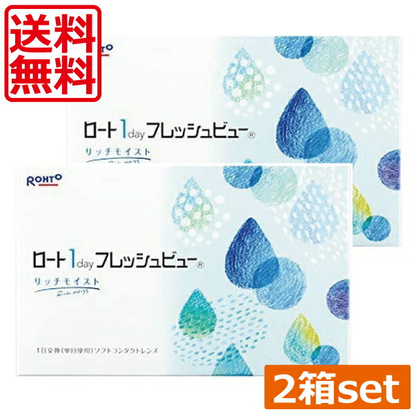 ロート ワンデーフレッシュビューリッチモイスト(90枚) ×2箱 貨物輸送無料 1day ROHTO フレッシュビュー