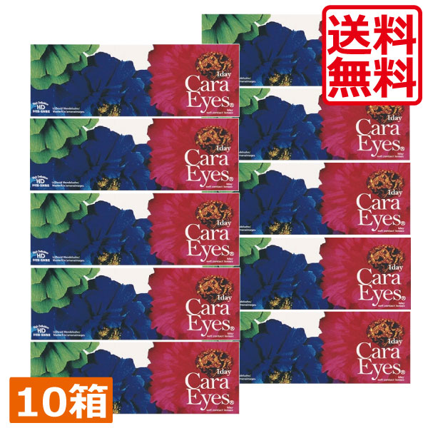 一デー キャラアイ(30枚)×10箱 (赤銅色・薄墨色)(エスパル) (カラコン)