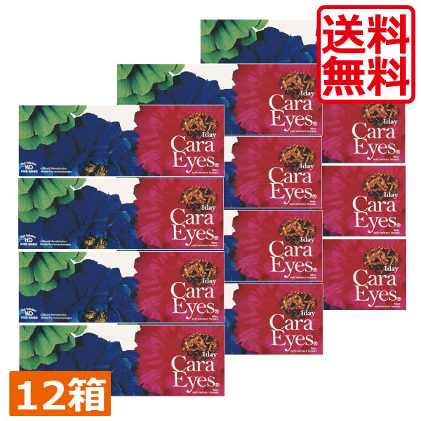 貨物輸送無料 一デー キャラアイ(30枚)×12箱 (赤銅色・薄墨色)  (エスパル) (カラコン)