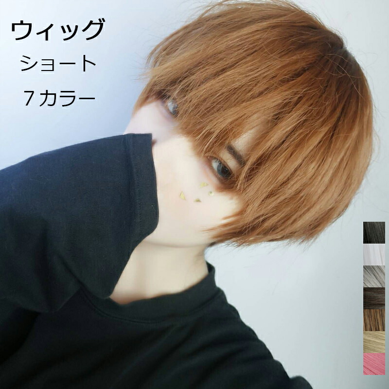 楽天市場】ウィッグ 自然 フルウィッグ メンズ ショート 男装 ブラウン