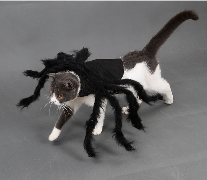 ハロウィン 犬 猫の服 ハロウィン コスプレ 衣装 悪魔 クモ スパイダー 仮装 キャットウェア ネコ用 ペットウェア 小型犬 ペット用 可愛い cosplay 写真 撮影