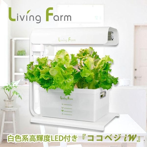 ☆意気ごみ症打つ手グッズ