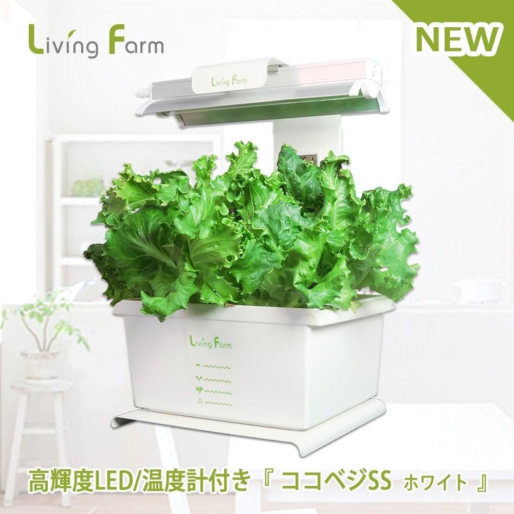 ☆意気ごみ症打つ手グッズ