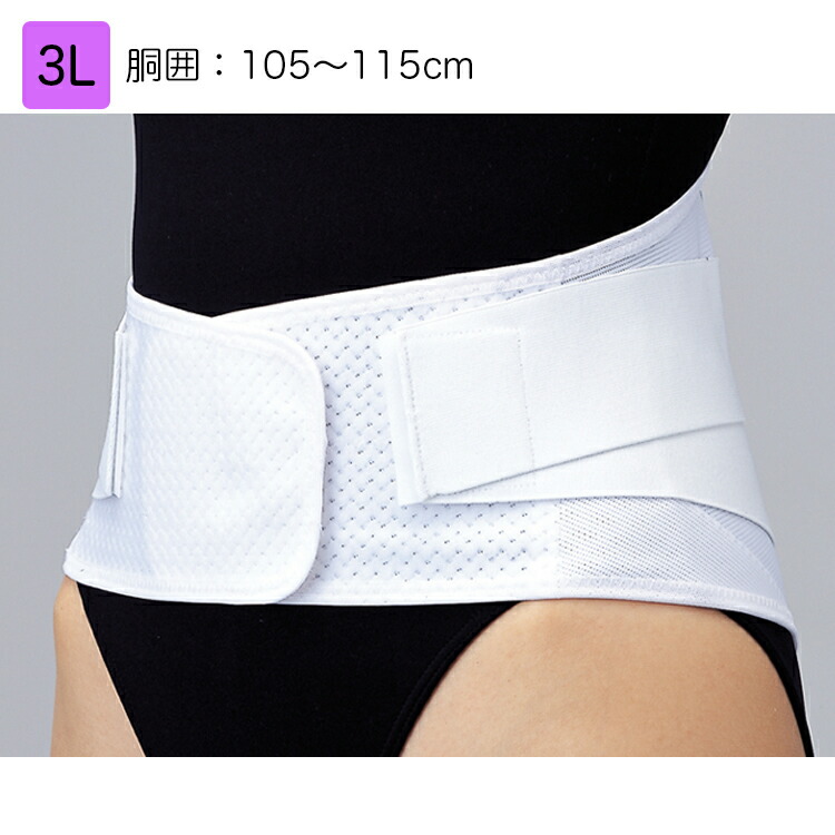 楽天市場】日本シグマックス マックスベルト me2 4L 品番：322206（胴