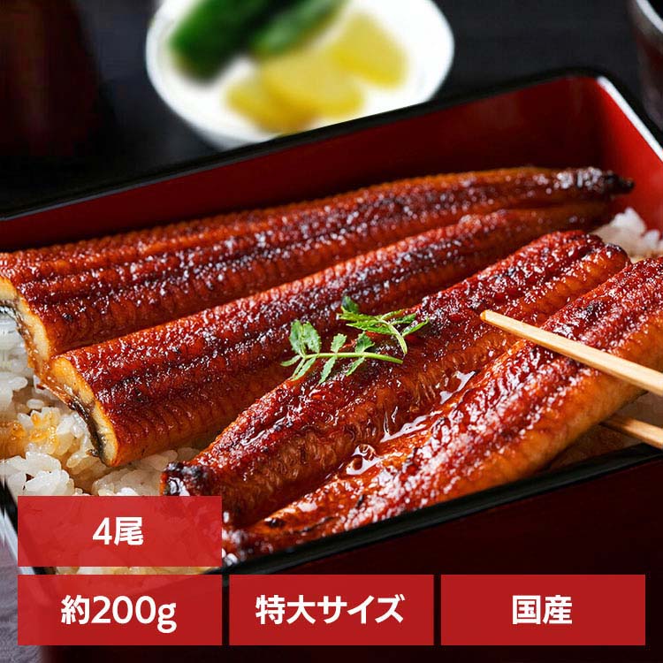 【4尾】特大鰻（約200g/尾） うなぎ かば焼き 国産 鰻蒲焼 冷凍 800g 目利き 厳選 大阪中央卸売市場 土用 Tokka 【TD】 【代引不可】