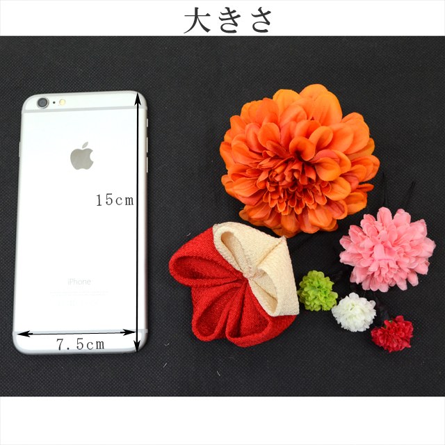 髪飾り 室家 壮丁公式 絶頂 結ばれる式 卒業式 浴着り物 振袖 五三 390 674 01a 3 和装 ヘッド区分 新品 お召し物ひととき Skc0002 Kimb15 N Ecogetec Com Br