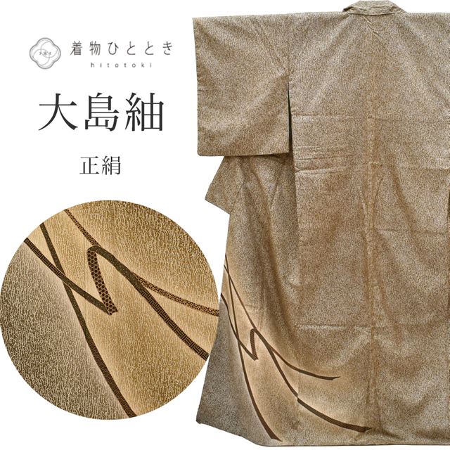 ＼最大20%OFFクーポン+P5倍／【中古】 大島紬 着物 正絹 リサイクル 裄63cm 身丈157cm 染大島 美品 仕立て上がり M 茶色系 熨斗文様 【 紬 紬の着物 リサイクル紬 正絹 袷 紬 着物 中古 古着 アウトレット 送料無料】ss1465b｜リサイクル着物 着物ひととき 中古 19,008円