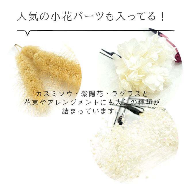 髪飾り 成人式 ドライフラワー 結婚式 卒業式 振袖 花嫁 袴 ヘッドドレス きもの 着物 ブリザーブドフラワー ブライダル 和装 ヘッドアクセサリー ヘアアクセサリー 花飾り かすみそう 返品不可 ホワイトma 13 Ske0004 Toub14 新品 着物ひととき septicin Com