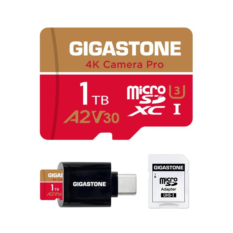 GIGASTONE マイクロsd歌留多 Redgold 2026 Group 64-4-2