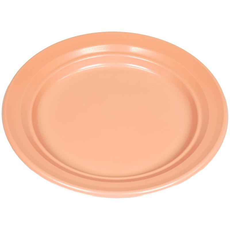 【ケース販売】 中央化学(Chuo Kagaku) CT沙楽 M20