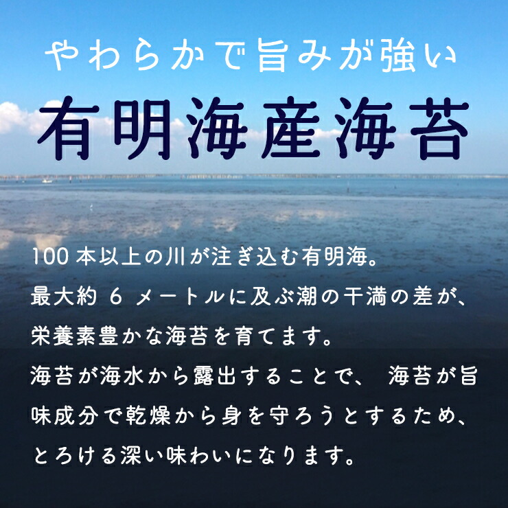 出色 有明海産 海苔 牡蠣醤油味 味付け海苔 8切140枚 8切5枚28束 www.agroservet.com