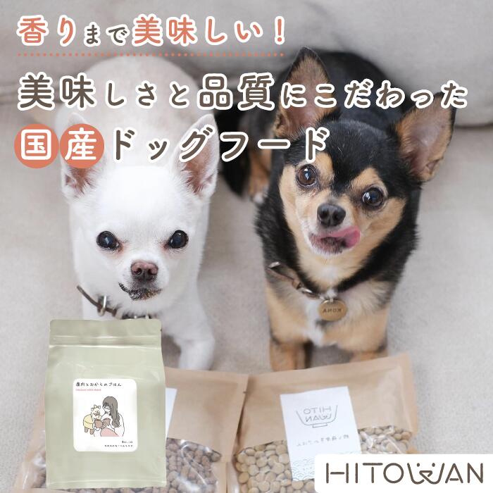 鹿肉とおからのごはん ヒト属壱 国産ドッグフード 無足し加える 獣御医者さん締めくくる  組み入れる栄養物食 愛玩動物ボンネット 塗り付ける料 保護すること料 不当て嵌める