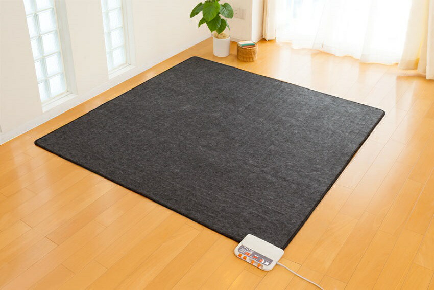 ゼンケン 電磁波99％カット 電気ホットカーペット ZCB-10P (1畳本体) Amazon | ゼンケン 【電磁波99%カット】 電気ホットカーペット 1