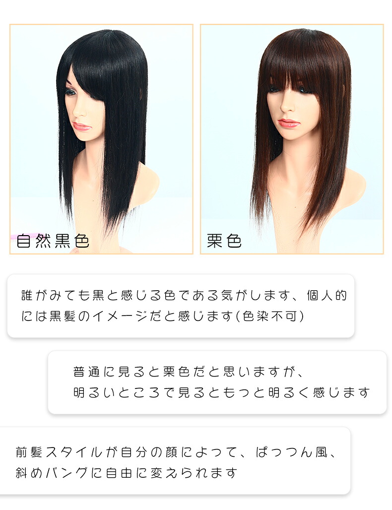 頭頂部部分ウィッグ 髪の毛 レディース 女性 小顔 ぱっつん前髪 手植え 通気性抜群 医療ウィッグ 付け毛 全頭カバー 増毛部分カツラ イメチェン ウィッグ かつら エクステ 境目 脱着やすい Hiye 送料無料 部分ウィッグ16 18 楽天海外直送 Natboardmcqs Com