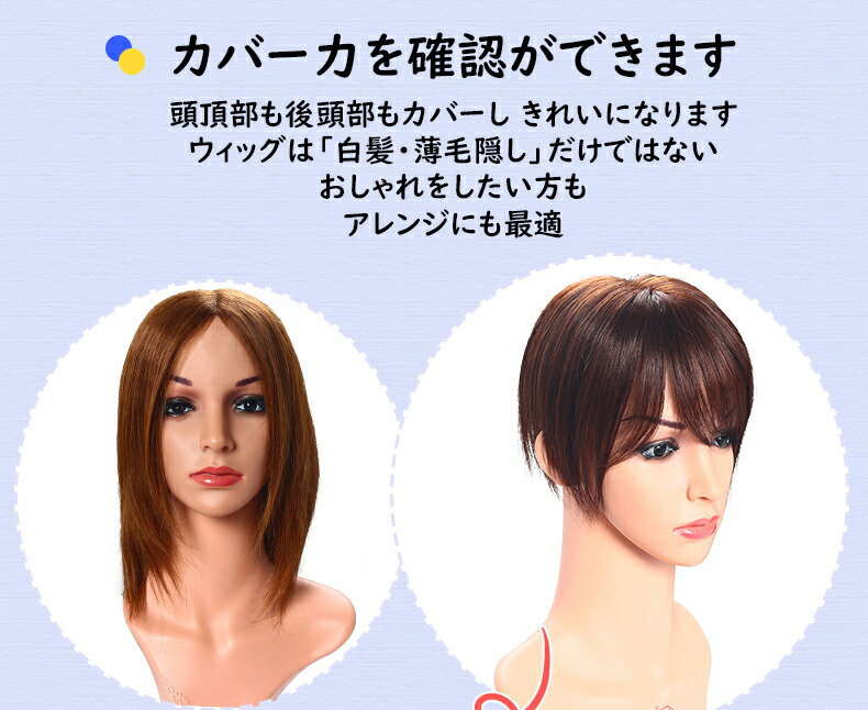 カツラ 人毛100 ステルス手植え 大きめ 人工頭皮 分け目専用 つむじ付き 前髪ぱっつん ショート 付け毛 女性 人気 ゆるふわ 高級 迫真 医療用ウィッグ 抜毛症 白髪隠し 部分ウィッグ12 12 楽天海外直送 Cooltonindia Com