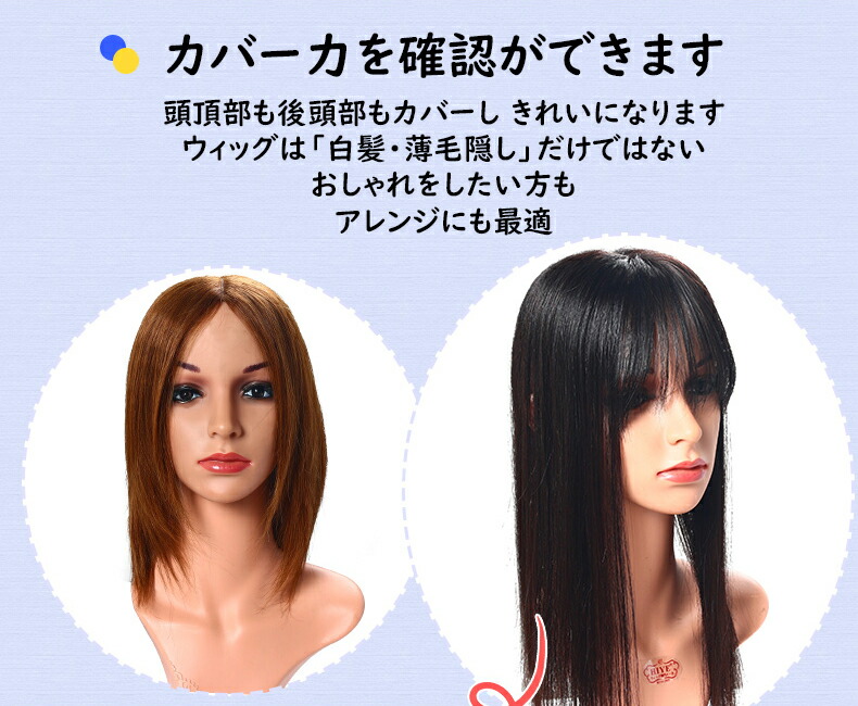 人毛ウィッグ ステルス メッシュネット 分け目 つむじリアル ロング 女性用カツラ アレンジ自由 ふんわり感 簡単着用 付け髪 医療 薄毛 しらが染 耐熱 人気スタイル 送料無料 部分ウィッグ12 12 楽天海外直送 Mavipconstrutora Com Br