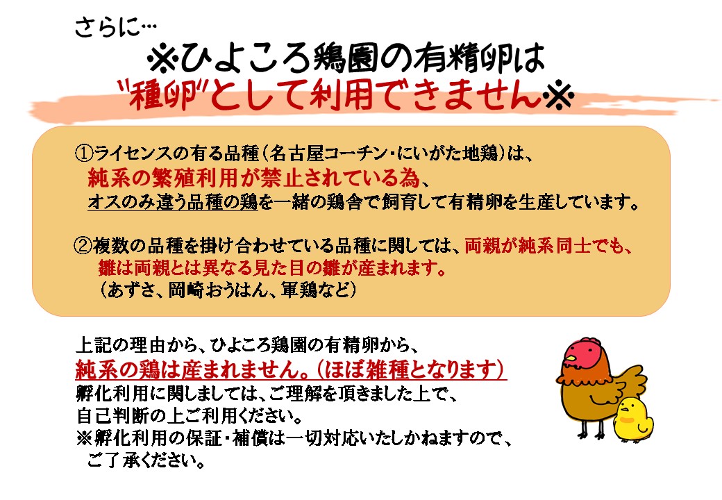 市場 あずさと四種の地鶏詰め合わせ あじわいたまごセット あずさ 軍鶏 岡崎おうはん 名古屋コーチン にいがた地鶏