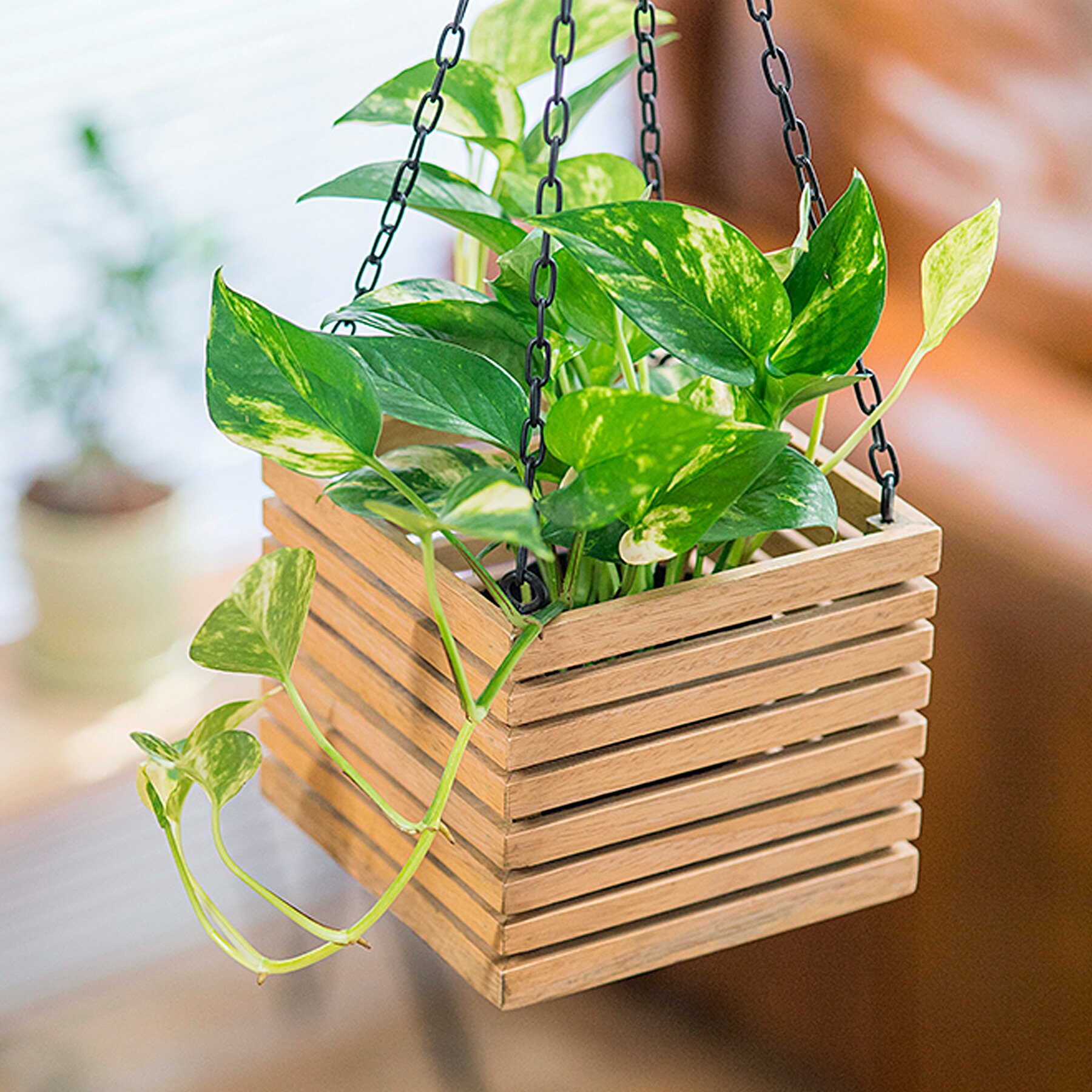木製 ハンギング スタンド ML2個 ポット プランター バスケット