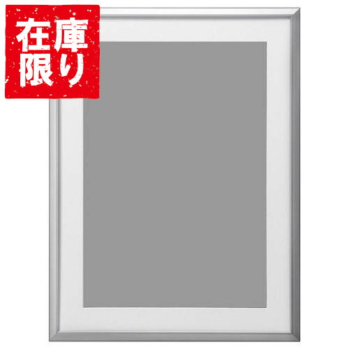 【アウトレット 訳あり特価】ハクバ アルミ額縁 AG-02 全紙サイズ シルバー FAG2-SVZ 4977187489071 フォトフレーム おしゃれ 壁掛け