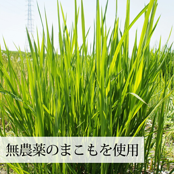 奈良県産・農薬不使用のまこも