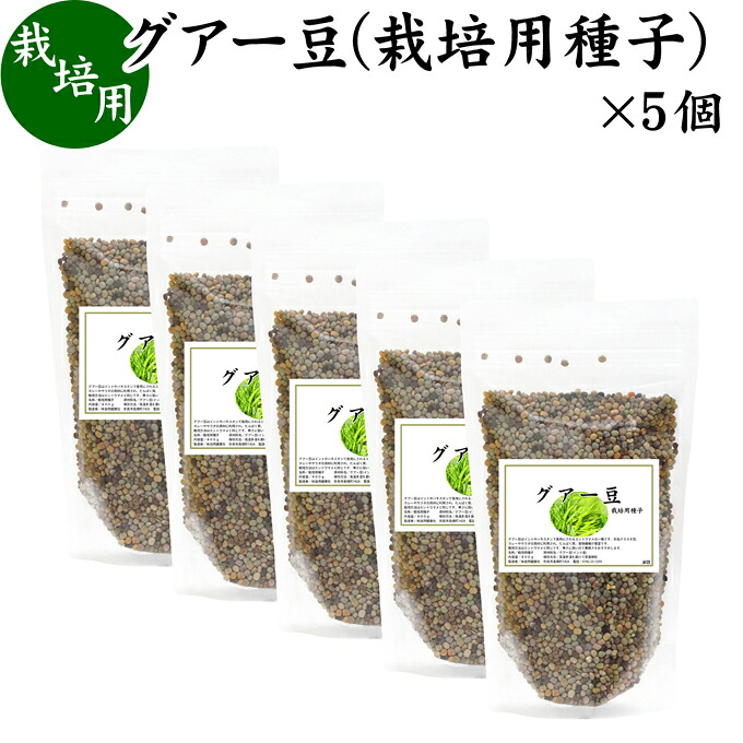 グアー豆 400g×5個 栽培用種子 グア豆 グァー豆 種 たね タネ クラスタ豆 くらすた豆 ガーデニング 種苗 播種 自然健康社