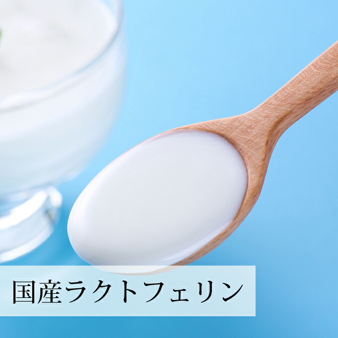 ラクトフェリン パウダー 粉末 100g 5個 ビフィズス菌 ダイエット ヨーグルト 乳酸菌 砂糖不使用 妊娠中 サプリメント 善玉菌 サプリ 業務用