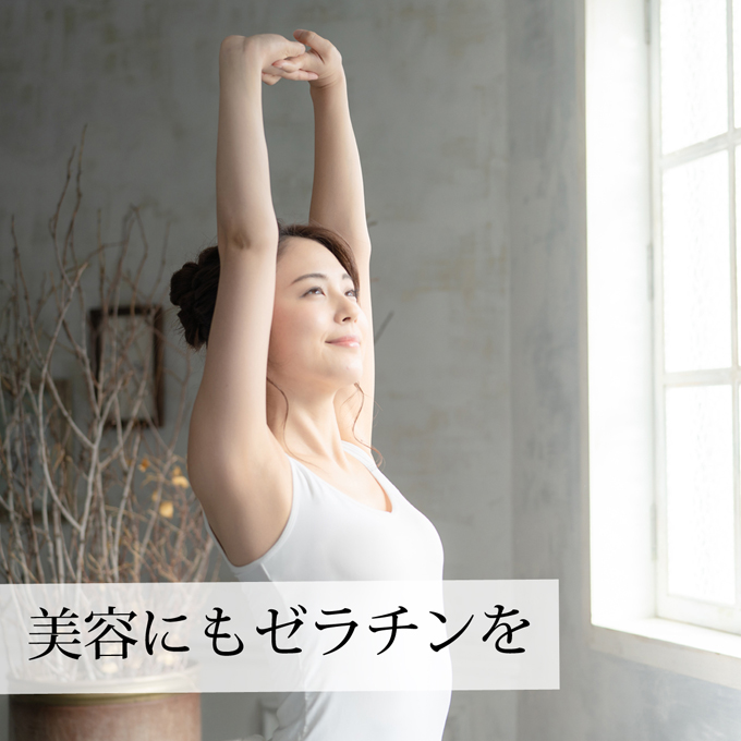 美容にも役立つゼラチン