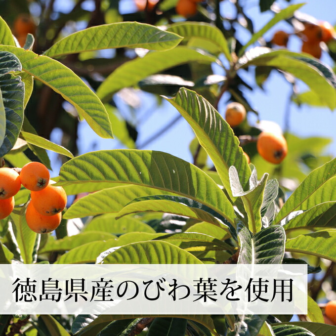 徳島県産のびわ葉を使用