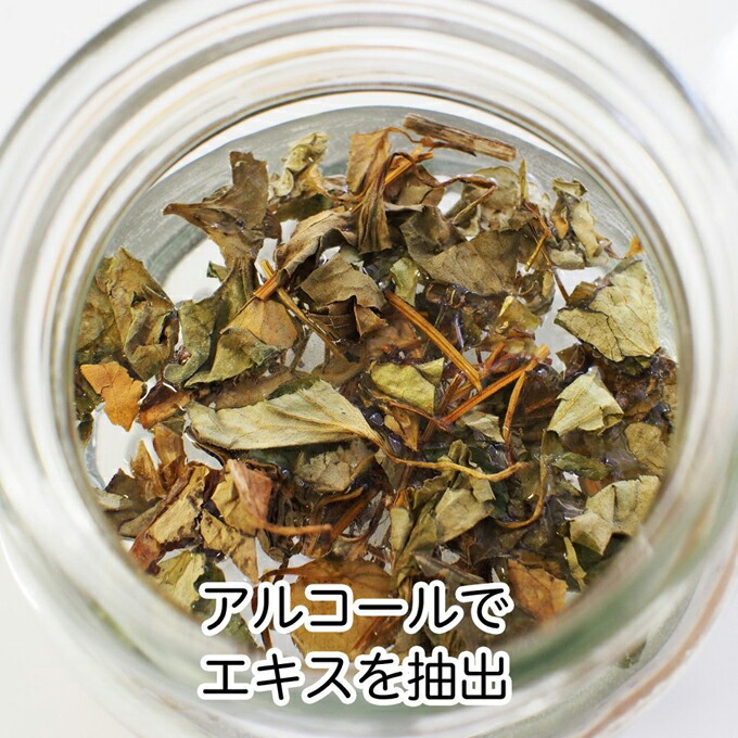 アルコールでエキスを抽出