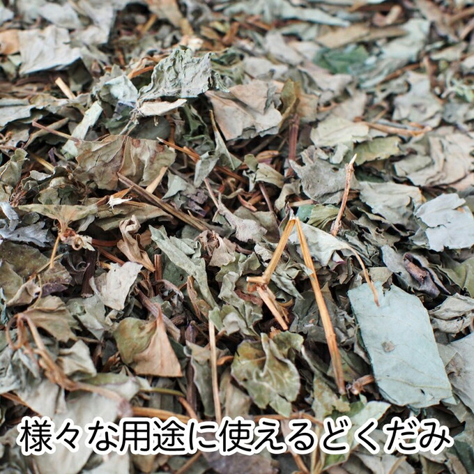 様々な用途で使えるどくだみ