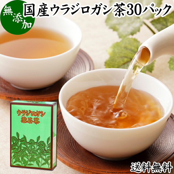 【楽天市場】ウラジロガシ茶 30パック うらじろがし茶 裏白樫茶 国産 徳島県産 無農薬 農薬不使用 100％ 健康茶 ティーパック ティーバッグ  薬草茶 ノンカフェイン カフェインレス デカフェ 煮出し 無添加 無着色 健康飲料 健康食品 お茶 サプリメント サプリ ...