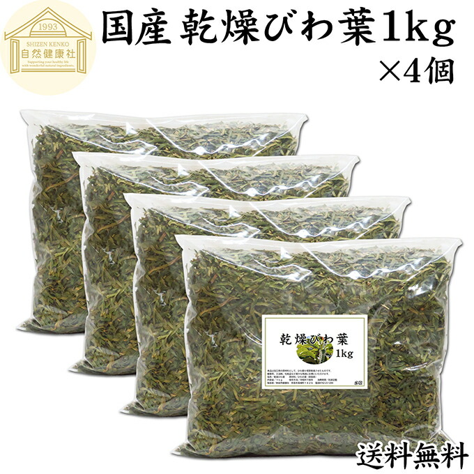 未使用のびわの葉温灸セットと新鮮なびわの葉10枚 Amazon.co.jp: びわ葉温灸セット ユーフォリアQ（TSI