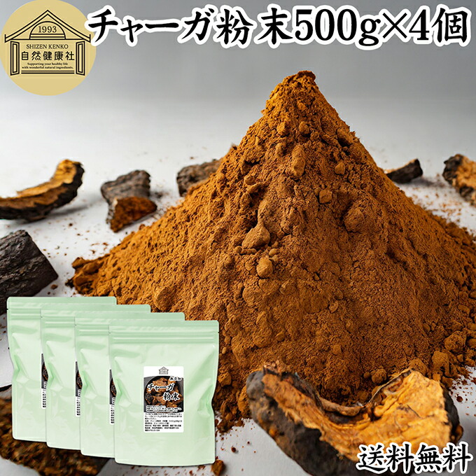33カバノアナタケ3キロ 33カバノアナタケ3キロ 33カバノアナタケ3キロ 楽天市場