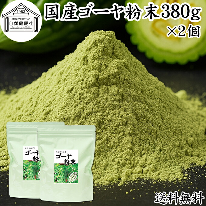 ゴーヤ粉末 380g×2個 青汁 粉末 お試し 国産 ゴーヤ パウダー 保存料 無添加 粉末 野菜 ジュース ゴーヤー茶 ゴーヤ茶 ごーやー茶 ごーや茶 ごーやー 種子入り 種 まるごと 丸ごと 自然健康社 おすすめ おいしい サプリメント ランキング スムージー ヴィーガン 売れ筋 6,998円