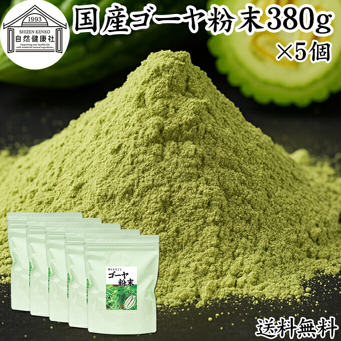 ゴーヤ粉末 380g×5個 青汁 粉末 お試し 国産 ゴーヤ パウダー 保存料 無添加 粉末 野菜 ジュース ゴーヤー茶 ゴーヤ茶 ごーやー茶 ごーや茶 ごーやー 種子入り 種 まるごと 丸ごと 自然健康社 おすすめ おいしい サプリメント ランキング スムージー ヴィーガン 売れ筋