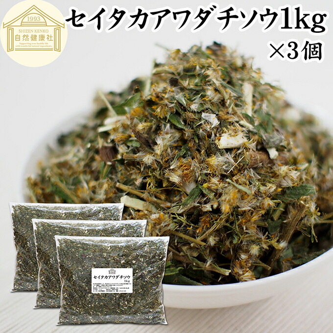 楽天市場】セイタカアワダチソウ 1kg×2個 花 つぼみ 乾燥 茎 葉 国産