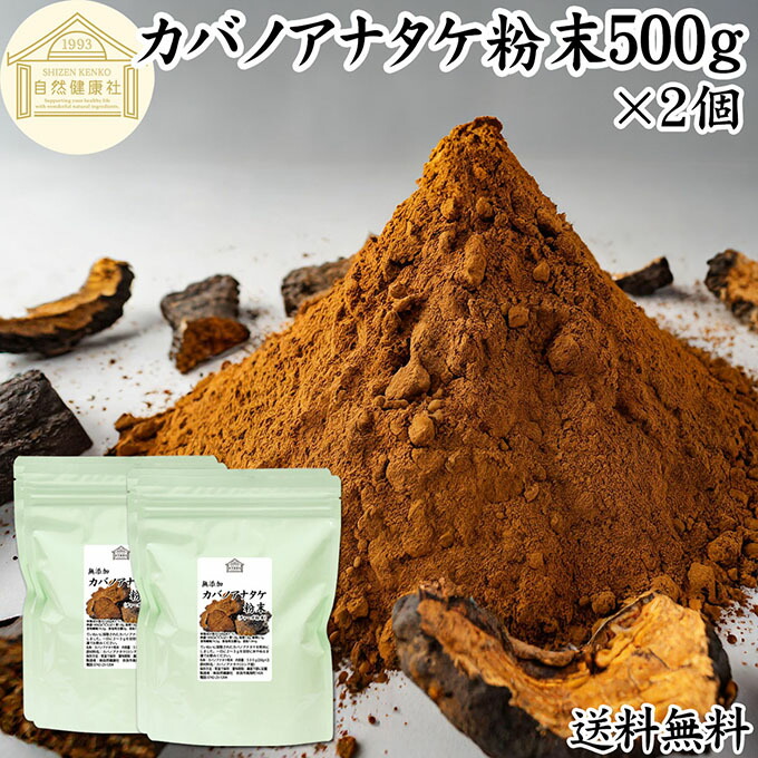 33カバノアナタケ3キロ 33カバノアナタケ3キロ 33カバノアナタケ3キロ カバノアナタケ茶