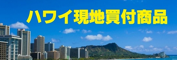 楽天市場】【サロン・ド・リジューＨ＆Ａシャンプー】【送料無料